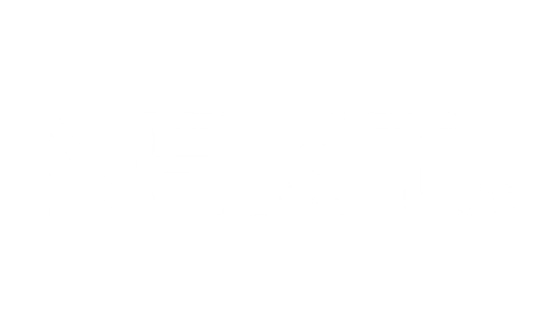 Next JS Websites Managed by Nifty Websites Australia