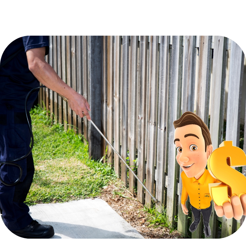 Responsive website layout showcasing a pest control company's homepage on desktop and mobile devices.
