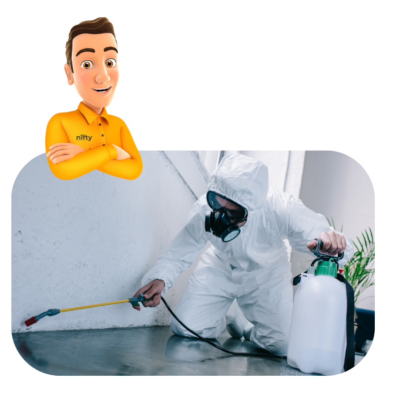 The image presents a modern pest control company website design.